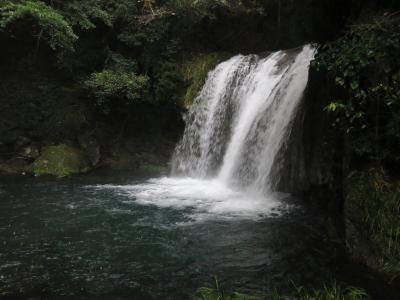 お・も・て・な・し♪　東伊豆の旅　１