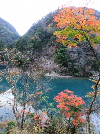 追憶の大井川鐵道★三世代でいく紅葉の寸又峡