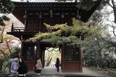 千葉の名所で紅葉狩り