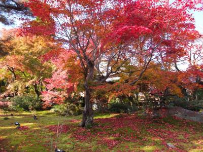 京都・嵐山の紅葉
