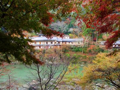 いつも雨のどしゃぶりバスツアーIN嵐山