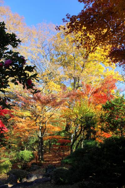 須賀川 紅葉 に関する旅行記 ブログ フォートラベル 福島県