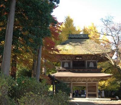 紅葉　　ＩＮ　　広徳寺