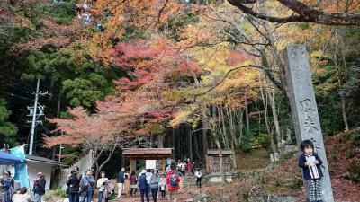 鳳来寺山もみじまつり