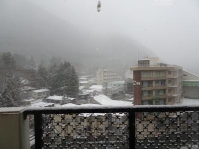 雪だ！栃木だ！