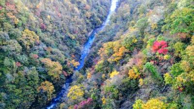 紅葉を見がてら日帰り温泉に行ってきました