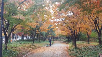 秋の大邱旅2日目　頭流公園散歩など