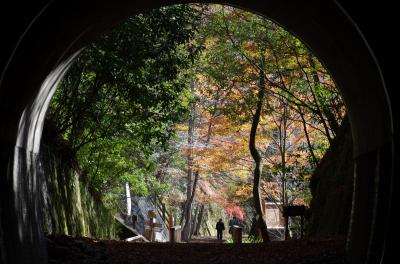 339 平坦なコースなのに、トンネル・巨岩・断崖・武庫川の流れで楽しめる「武田尾廃線ハイク」