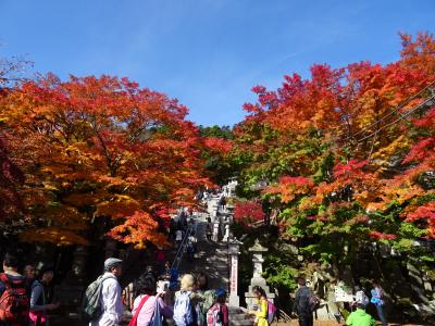 大山エリア　①