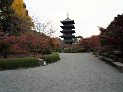 晩秋の京都で紅葉狩り