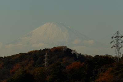 獅子舞の紅葉－2016年冬