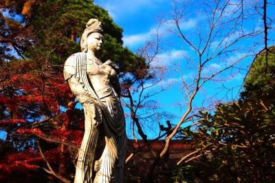 東京・高幡不動～多摩モノレールの万願寺駅から寄り道ウォーキング