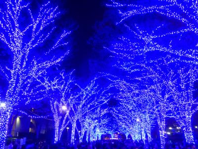 ２０１６年　イルミネーション　☆☆☆渋谷に幻想的な「青の洞窟」が復活!!☆☆☆