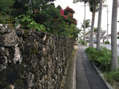 はまってしまった今年２回目のベトナム、東京在住だけど石垣島から出発（その２）