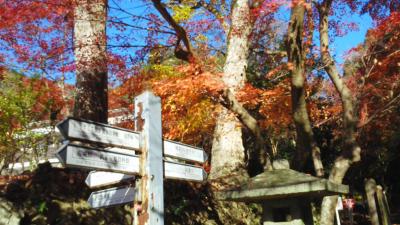 龍野公園の紅葉