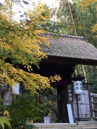 まやこ　近江八幡を案内してもらう♪　“クラブハリエ・ひさご寿し・教林坊・ラ コリーナ”