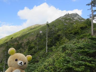 瑞牆山荘　から　金峰山　瑞牆山　を登るクマ（金峰山）