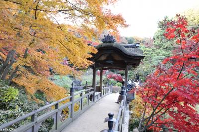 横浜の紅葉の名所：三渓園