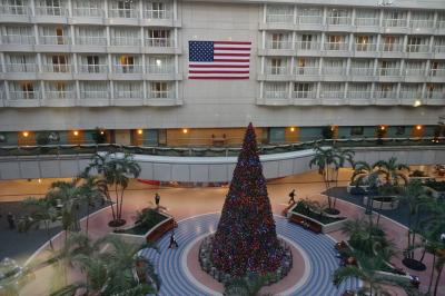 【オーランド】研修だけど観光も！　ハイアット リージェンシー Orlando International Airport