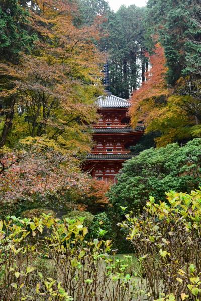 2016.11　京都　晩秋