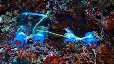 石垣の海に泡盛を沈めに(笑)