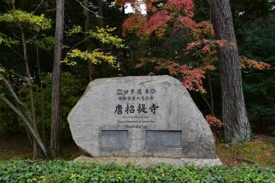 2016.11　奈良　晩秋