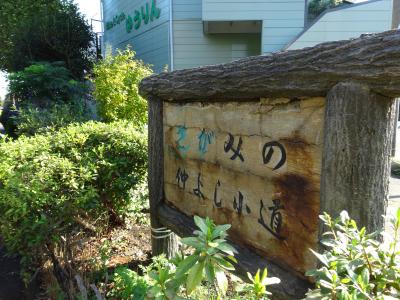 気になる小道、さがみの仲よし小道(秋)