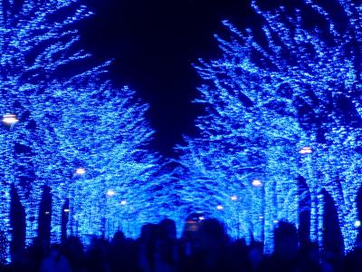 ★★渋谷～表参道のクリスマス★★