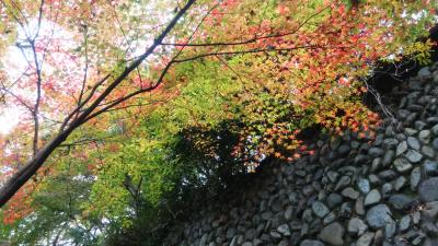 2016年11月晩秋、初めての深大寺。