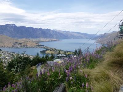 ニュージーランド　１０泊１２日　大自然満喫の旅　４日目