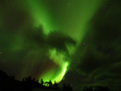 神秘のオーロラを求めて　秋の北欧へ　⑤Dreams come true in Tromsø