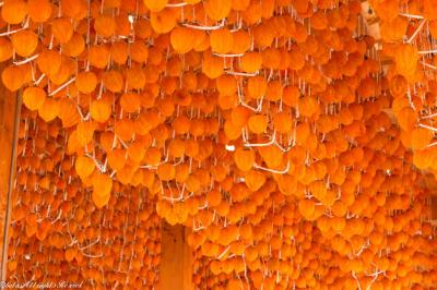 秋の風物詩・・・あんぽ柿