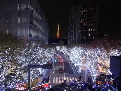 (1/２）東京のイルミ、鎌倉の紅葉を楽しむー家族の忘年会 at なだ万(銀座　三越）、Ｘ－マス　イルミ　at 汐留、六本木、お台場　－　１２月　２０１６年