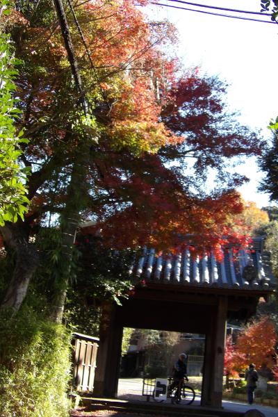 天園ハイキングコース－瑞泉寺から天園手前まで