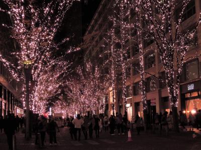 恒例女子会 今年のイルミネーションは丸の内、そしてそれぞれのクリスマスツリー･:*:･ﾟ☆