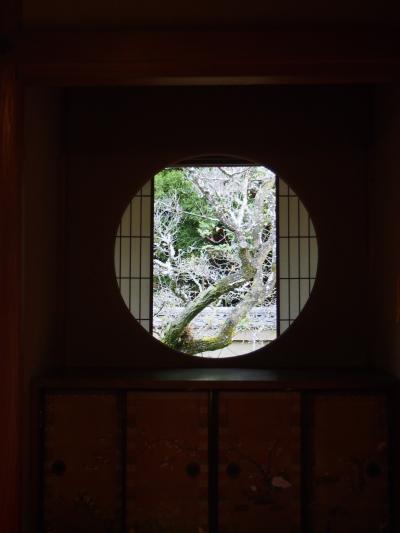 晩秋の京都でおいしいものを食べる旅 三日目