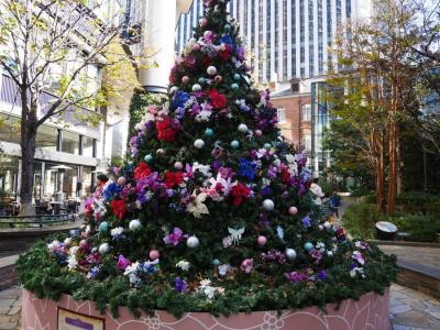 2016年:冬『Marunouchi Bright Christmas 2016～不思議なくるみ割り人形の物語～』を観に行った（家族で）