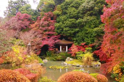 2016年11月紅葉の赤い京都　-毘沙門天＆ランチ-