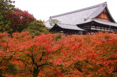 2016年11月紅葉の赤い京都　-　東福寺　-