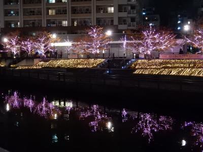 冬の桜 @ 目黒側