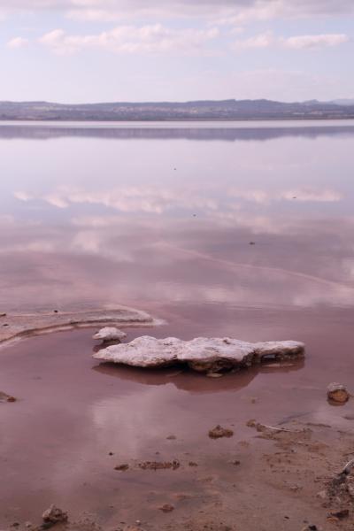 コスタ・ブランカにあるピンクの塩湖 - Torrevieja