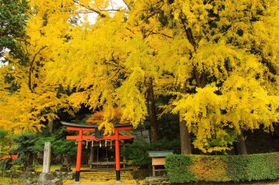 黄葉の岩戸落葉神社～美山かやぶきの里へ