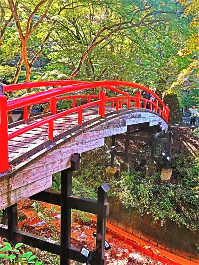 群馬-3　伊香保　石段街／紅葉橋／伊香保神社めぐり　☆紅葉見ごろに