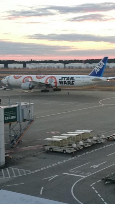 少しがっかりな成田空港