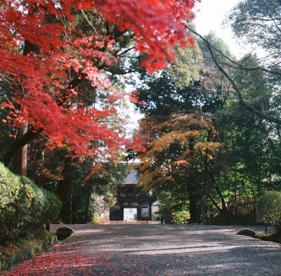 るろうに円蔵　呪縛の最期編　１．三井寺