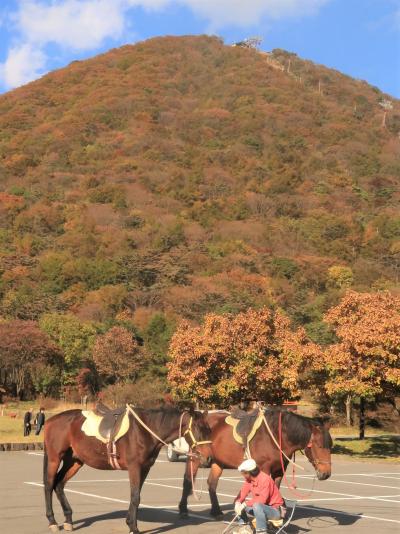 群馬-4　榛名山・榛名湖　錦秋の装い お見事！　☆ロープウェイで往復