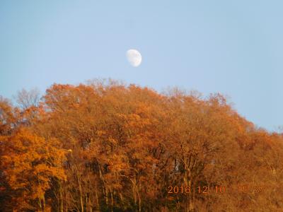 高尾山の紅葉を訪ねて