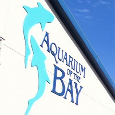 PIER 39の水族館に大満足(^^♪遅いランチはフィッシャーマンズグロットで！