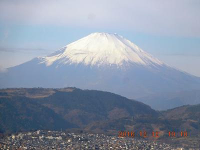 表丹沢・弘法山の紅葉を訪ねて