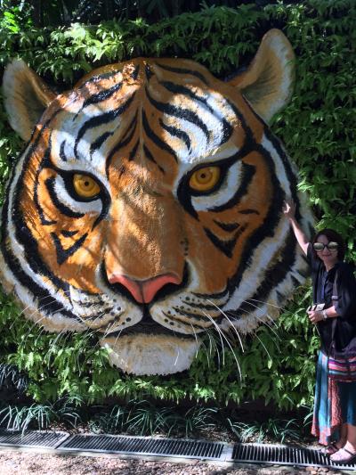 2016年11月 コムローイを見たくて、今回は友達と♪ チェンマイ編-3